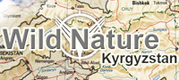 Логотип  Wild Nature OcOO