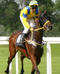 Логотип Poni.kg